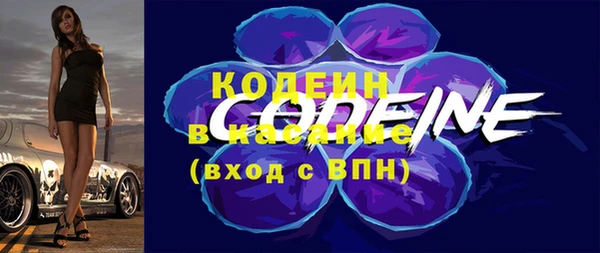 шишки Снежинск