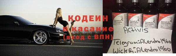 ECSTASY Бородино