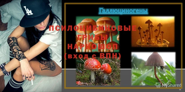 шишки Снежинск