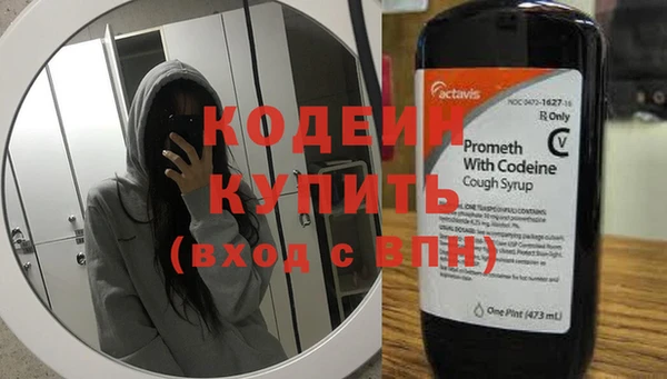 ECSTASY Бородино