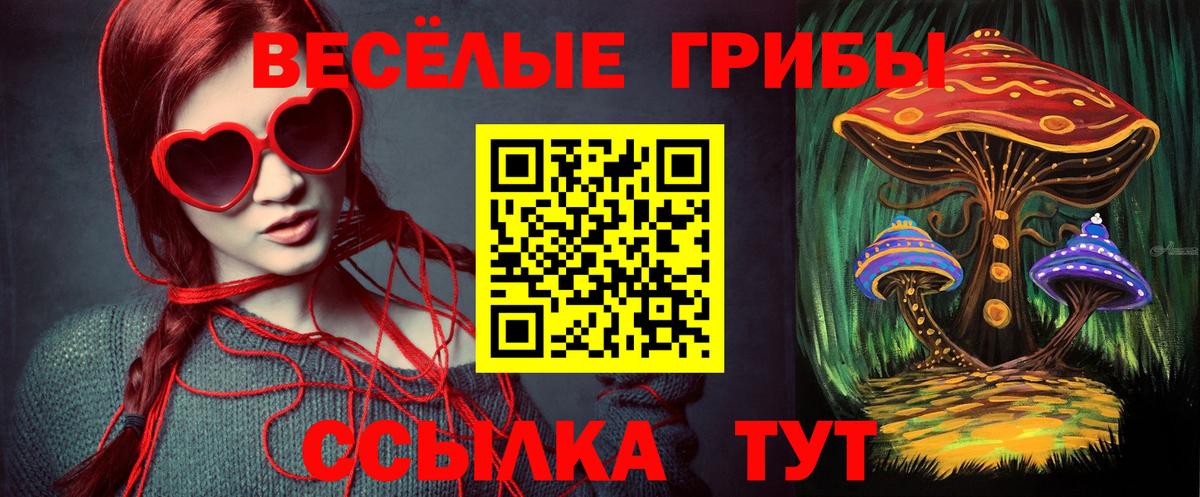 Псилоцибиновые грибы GOLDEN TEACHER Мариинск