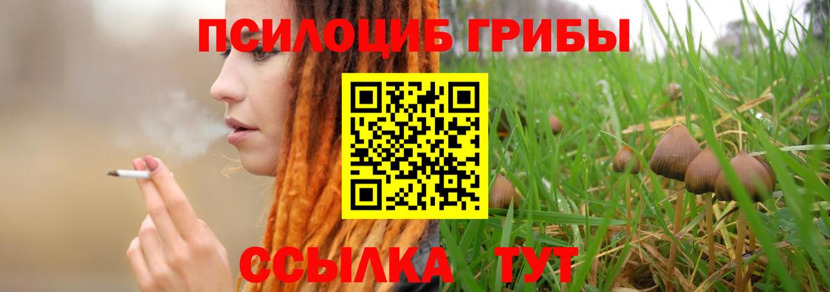 Псилоцибиновые грибы прущие грибы Мариинск